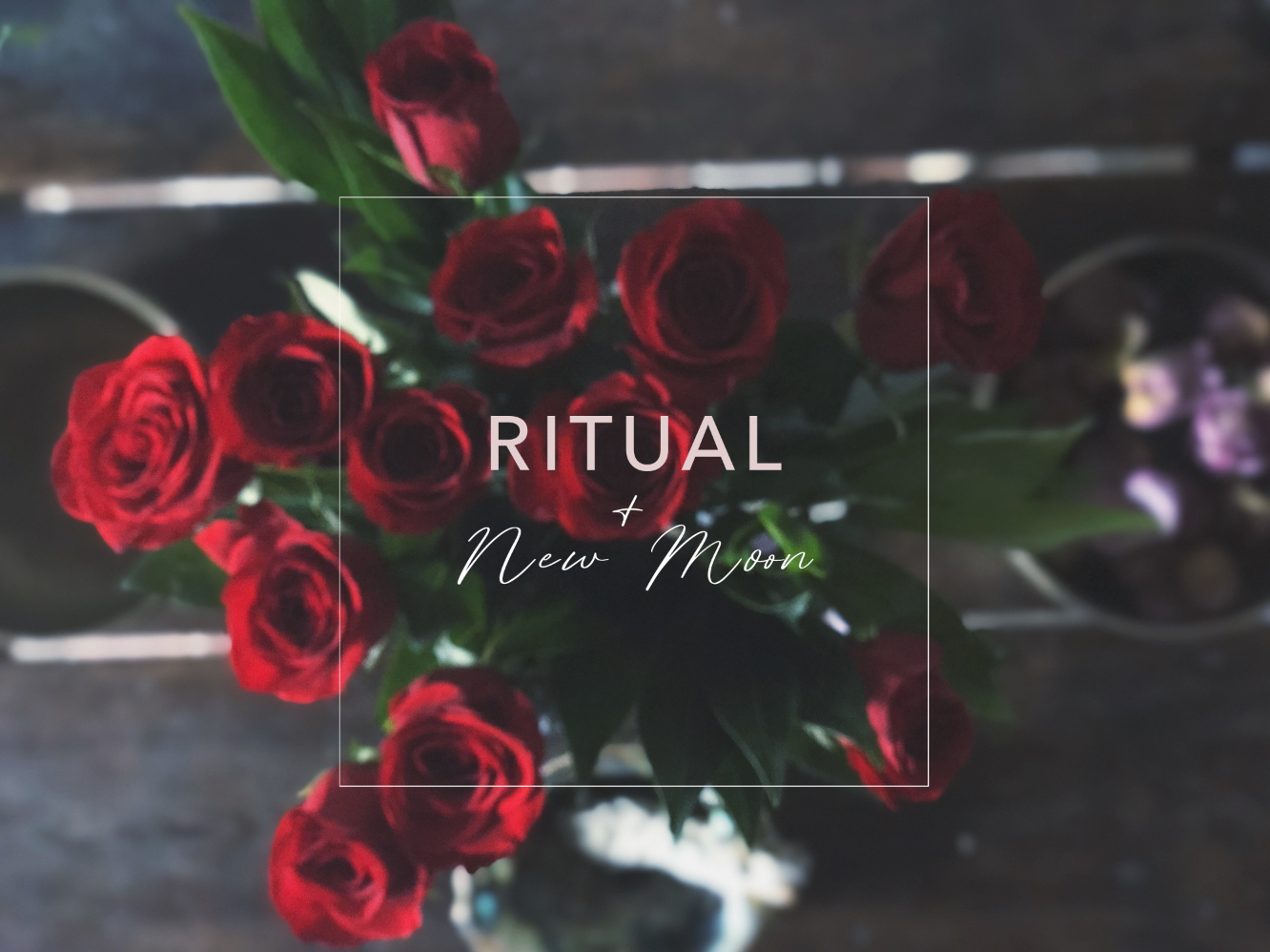 RITUAL AND THE NEW MOON